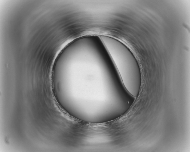 X0000094450864200711081046