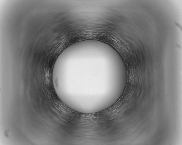 X0000094450866200711081045