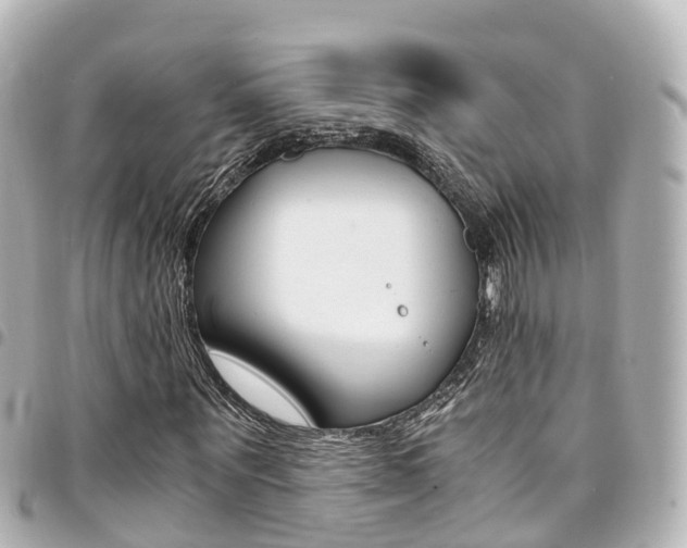 X0000094450867200711081045