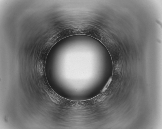 X0000094450868200711081045