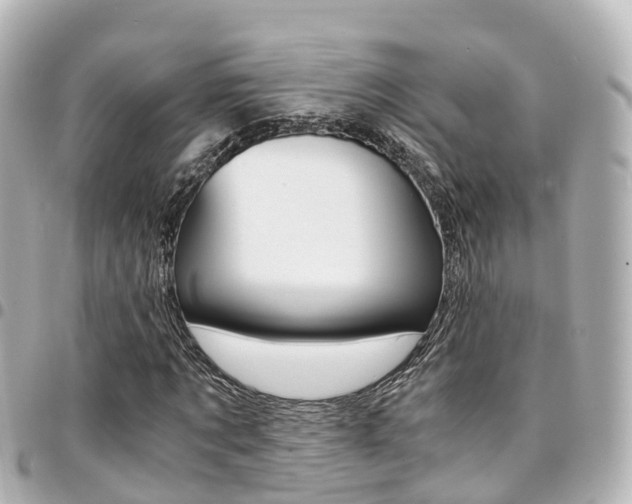 X0000094450869200711081045
