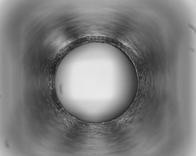 X0000094450870200711081045