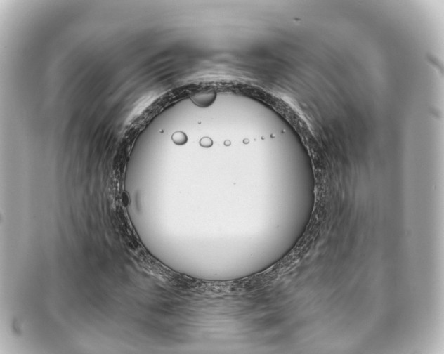 X0000094450871200711081045