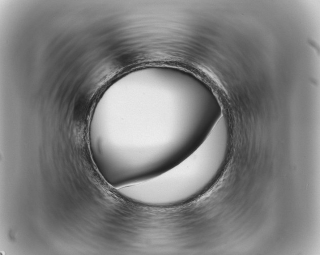 X0000094450873200711081045