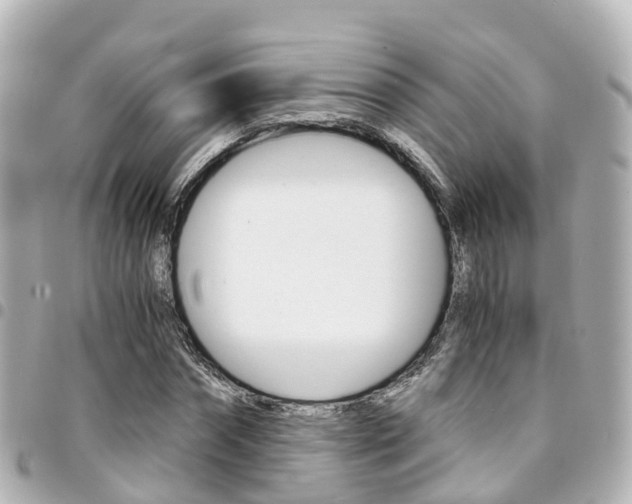X0000094450874200711081045