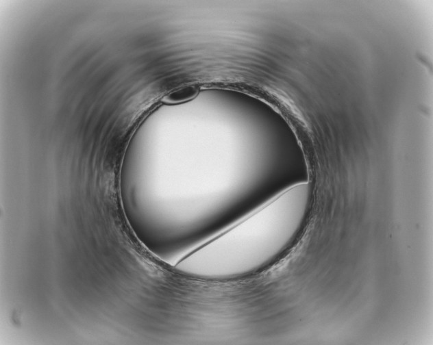 X0000094450881200711081045