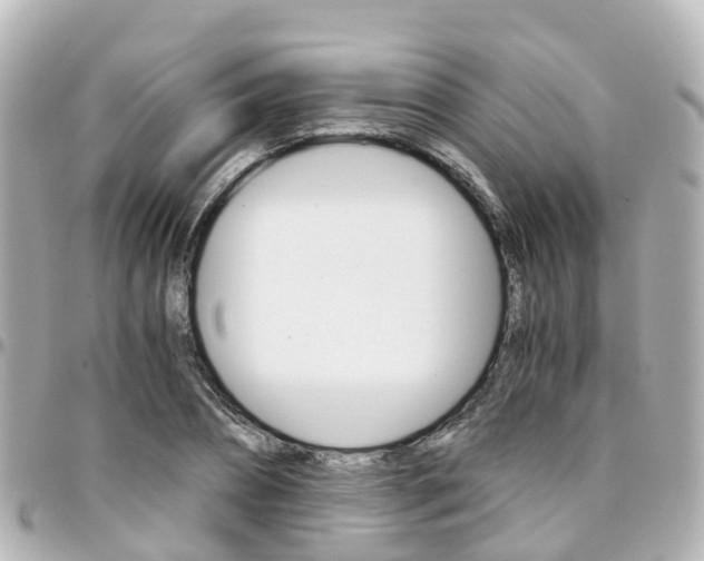 X0000094450882200711081045
