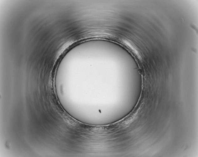X0000094450883200711081045