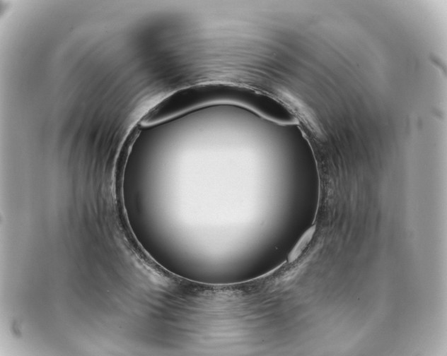 X0000094450884200711081045