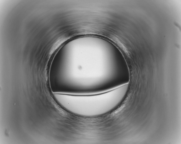 X0000094450885200711081045