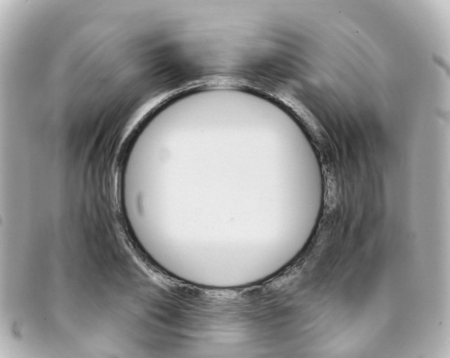 X0000094450886200711081045