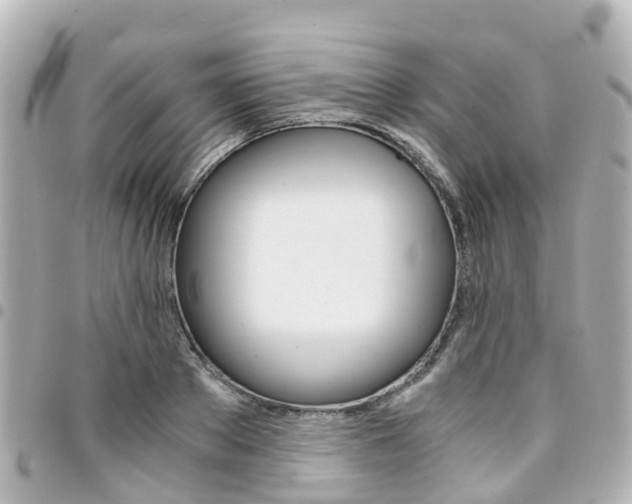 X0000094450889200711081045