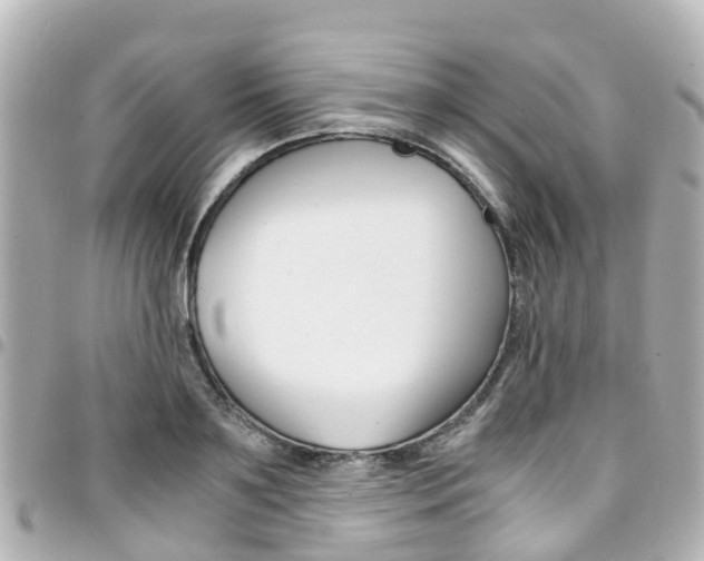 X0000094450891200711081045