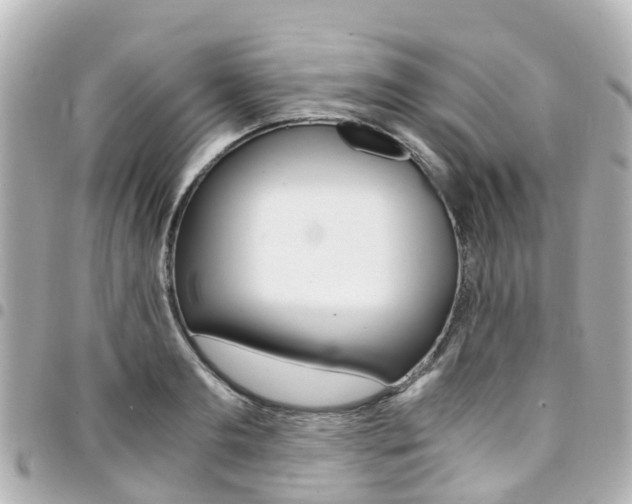 X0000094450893200711081045