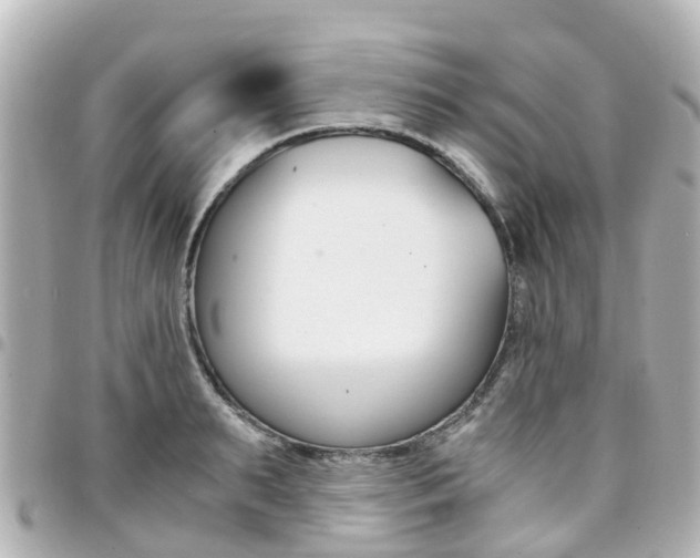 X0000094450895200711081045