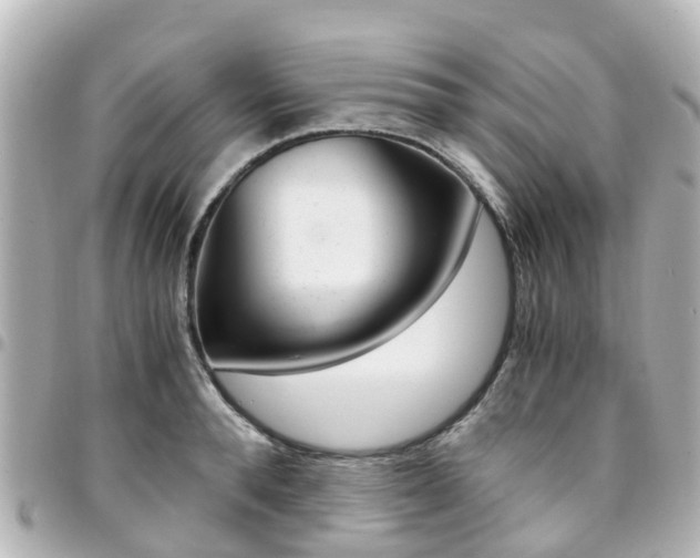 X0000094450896200711081045