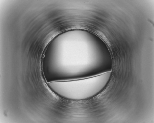 X0000094450898200711081045
