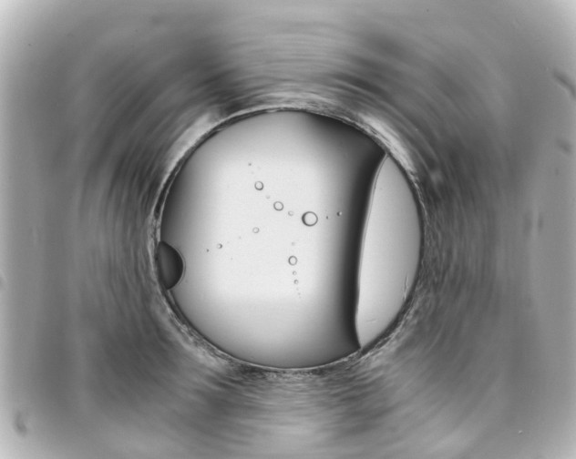 X0000094450899200711081045