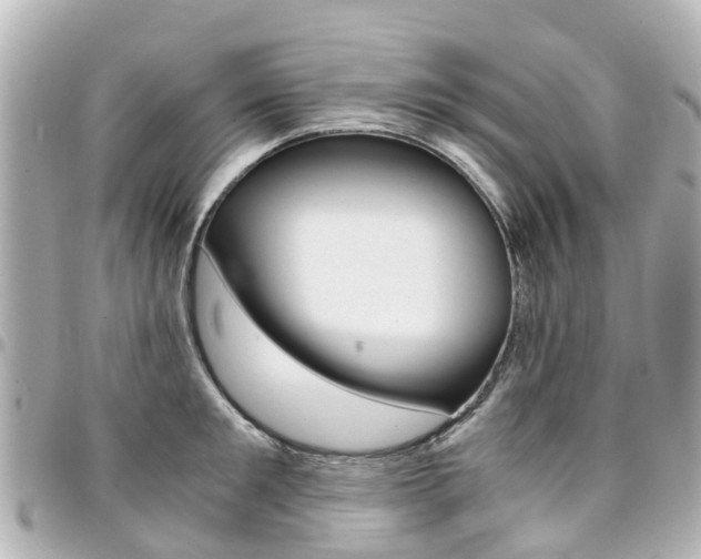 X0000094450901200711081044