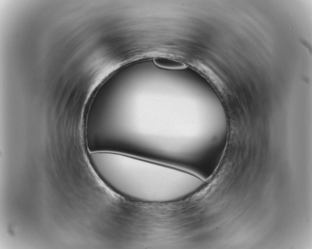 X0000094450902200711081044