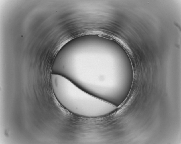 X0000094450905200711081044
