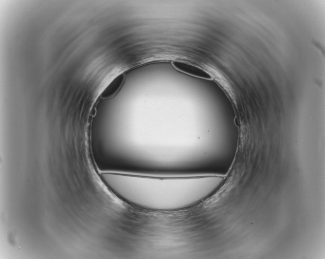 X0000094450906200711081044