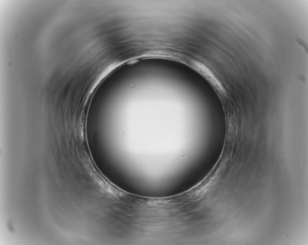 X0000094450908200711081044