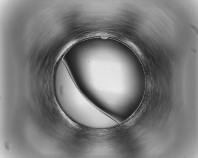 X0000094450910200711081044