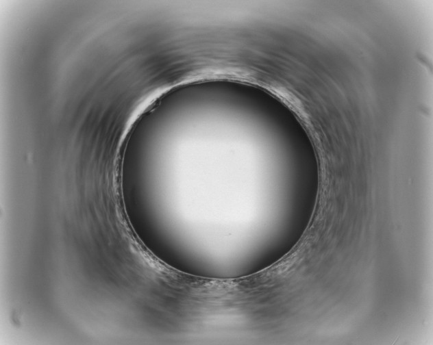 X0000094450912200711081044