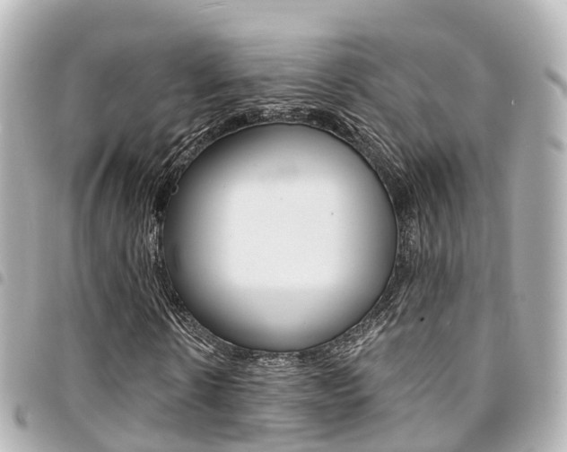 X0000094450914200711081044
