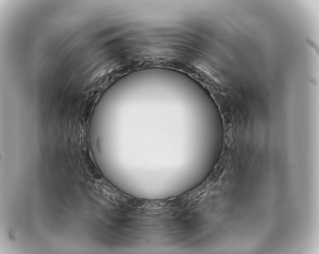 X0000094450917200711081044
