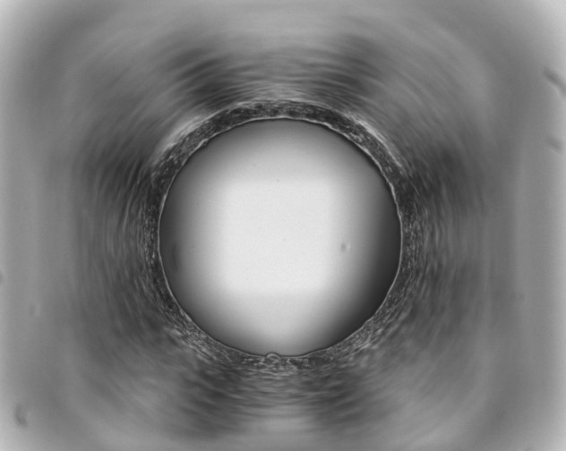 X0000094450919200711081044