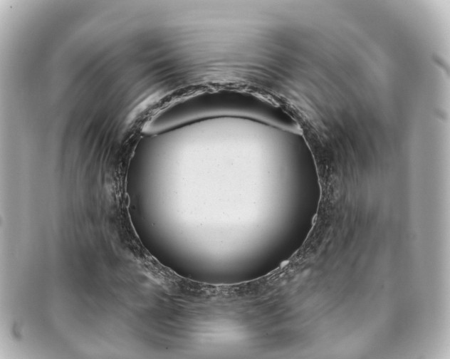 X0000094450920200711081044