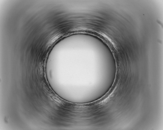 X0000094450921200711081044