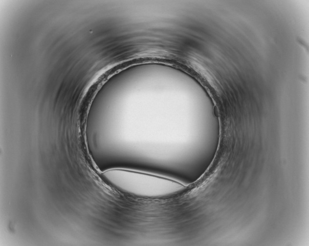X0000094450923200711081044
