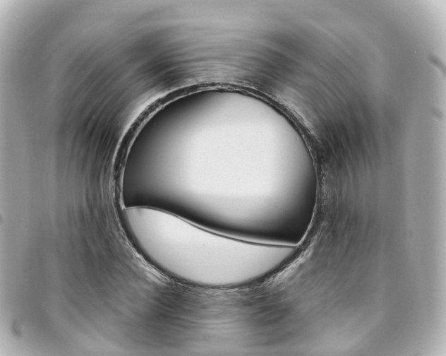 X0000094450924200711081044