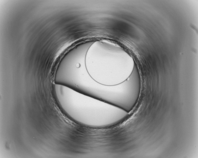 X0000094450925200711081044