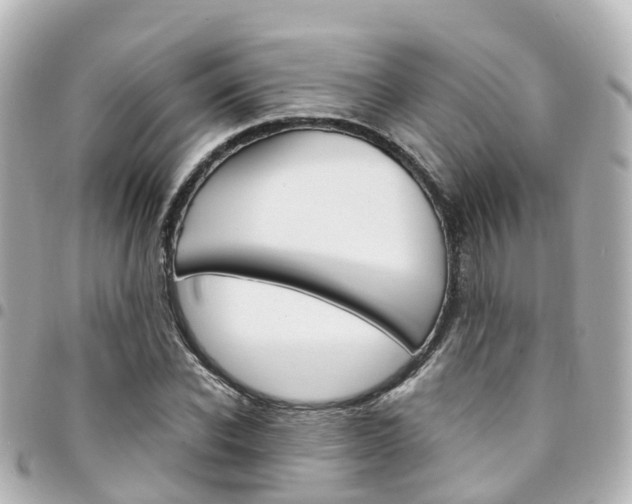 X0000094450926200711081044