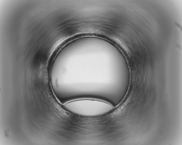 X0000094450927200711081044