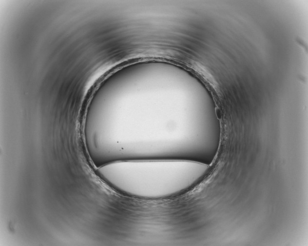 X0000094450928200711081044