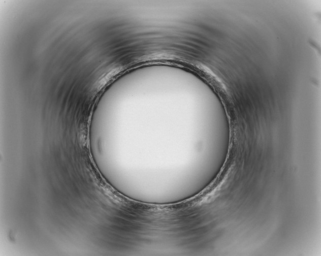 X0000094450929200711081044