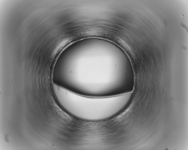 X0000094450930200711081044