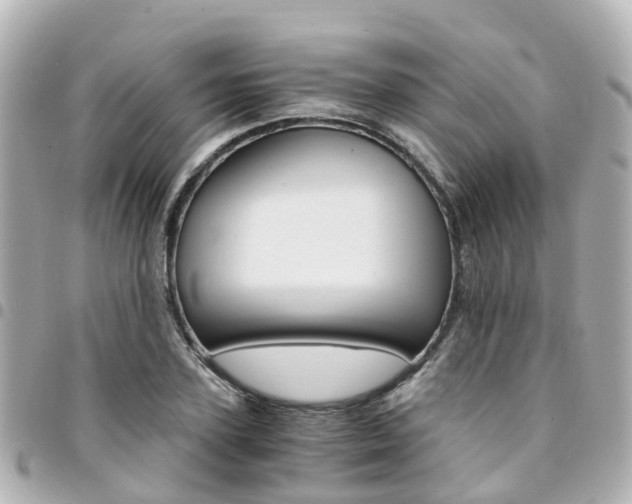 X0000094450931200711081044
