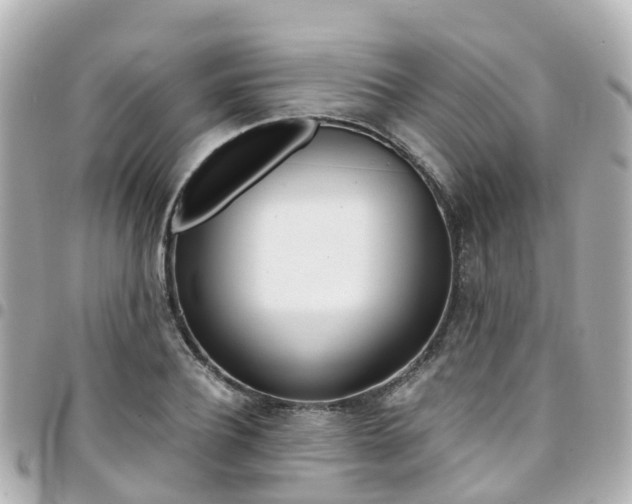 X0000094450932200711081044