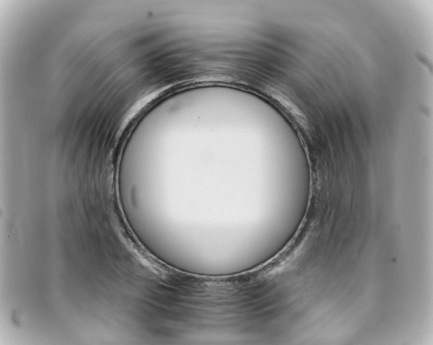 X0000094450933200711081044