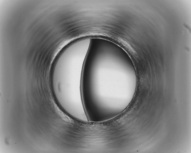 X0000094450934200711081044