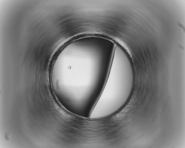 X0000094450935200711081044