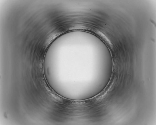 X0000094450937200711081044