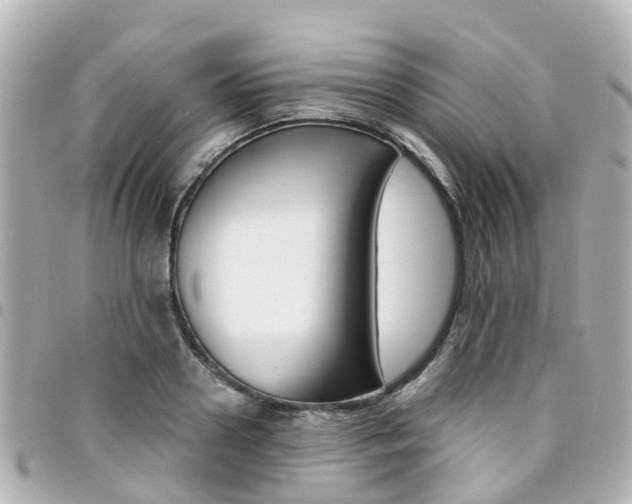 X0000094450938200711081044