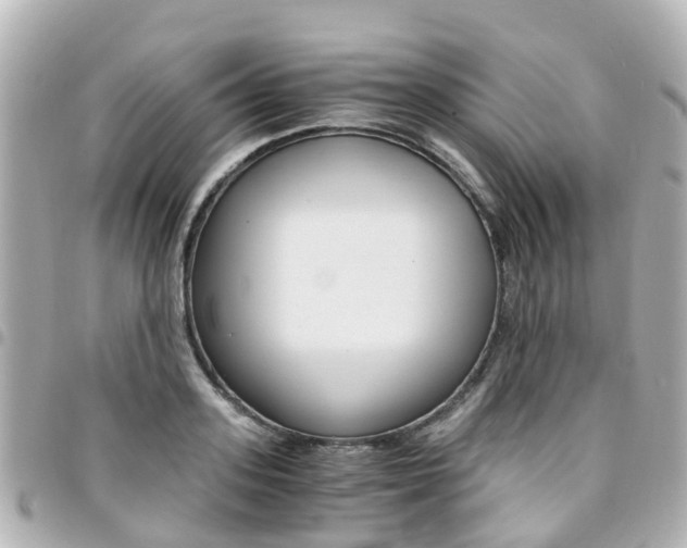 X0000094450939200711081044